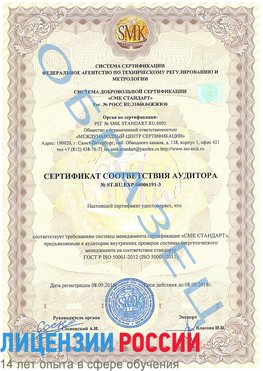 Образец сертификата соответствия аудитора №ST.RU.EXP.00006191-3 Елабуга Сертификат ISO 50001